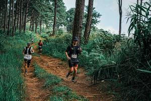 BIB: 
                            <button type="button" onclick="openModal(25659769)" class="btn btn-primary btn-sm float-right btn-popup" data-toggle="modal" data-target=".modal-high-quality">
                        <i class="fas fa-shopping-cart"></i> Add to Cart
                    </button>
                                            <button type="button" onclick="isThisMe(25659769, true)" class="btn btn-success btn-sm float-right btn-popup btn-isme hidden" data-toggle="tooltip" data-placement="bottom" title="นี่คือรูปของคุณใช่ไหม คลิกที่นี่เพื่อเอาเข้าอัลบั้ม">
                        <i class="fas fa-plus"></i> Add to album
                    </button>
                    <button type="button" onclick="isThisMe(25659769, false)" class="btn btn-warning btn-sm float-right btn-popup btn-isnotme hidden">
                        <i class="fas fa-ban"></i> Remove from album
                    </button>